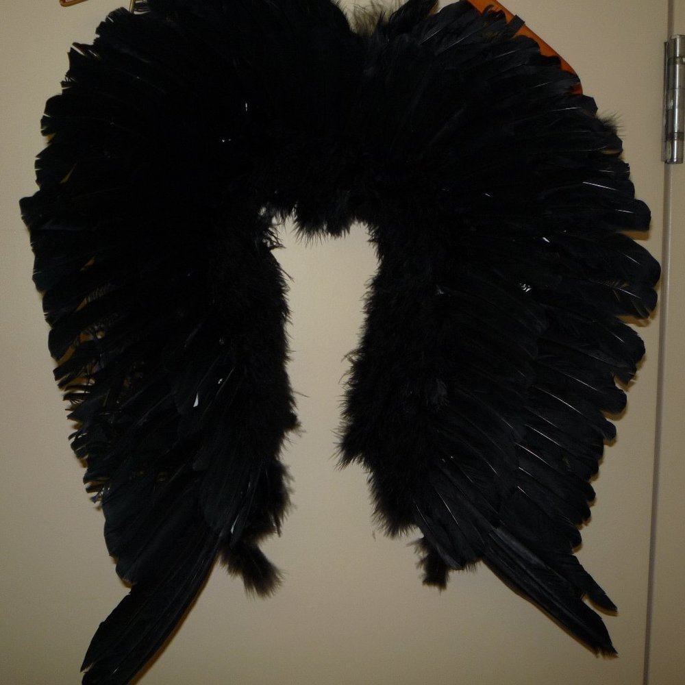 Adult Feather Wings